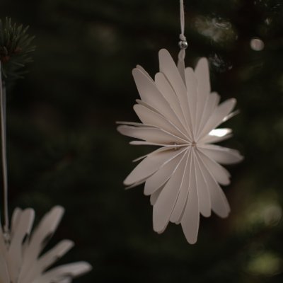Paperflake